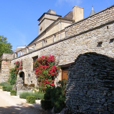 Chateau De Laumiere Promilhanes Exterior foto